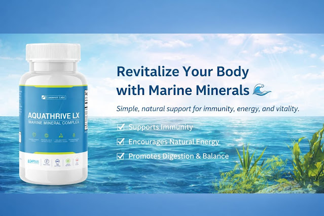 8b678b0bf3e4d6dfa8d2d7c4cba13c06