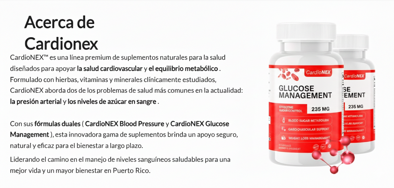 8c68a858c6a9316a0be2be5cc1f38938