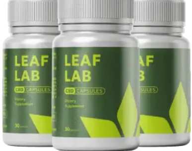 8cb90ab0c1bc26f80a33daf5242a6ae5