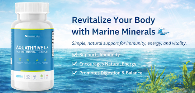 b589e510a919ff220ef1815bc0d7b76a